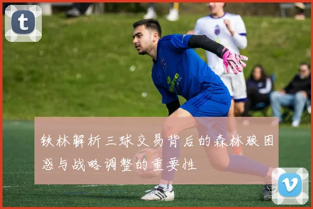 铁林解析三球交易背后的森林狼困惑与战略调整的重要性
