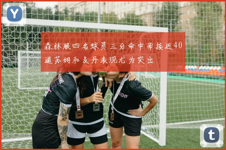 森林狼四名球员三分命中率接近40道苏姆和麦丹表现尤为突出
